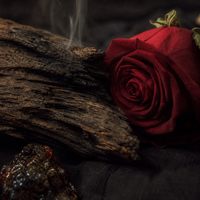Black Oud