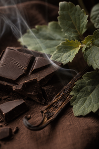 Made in Chocolate