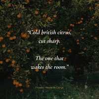 Made in Citrus